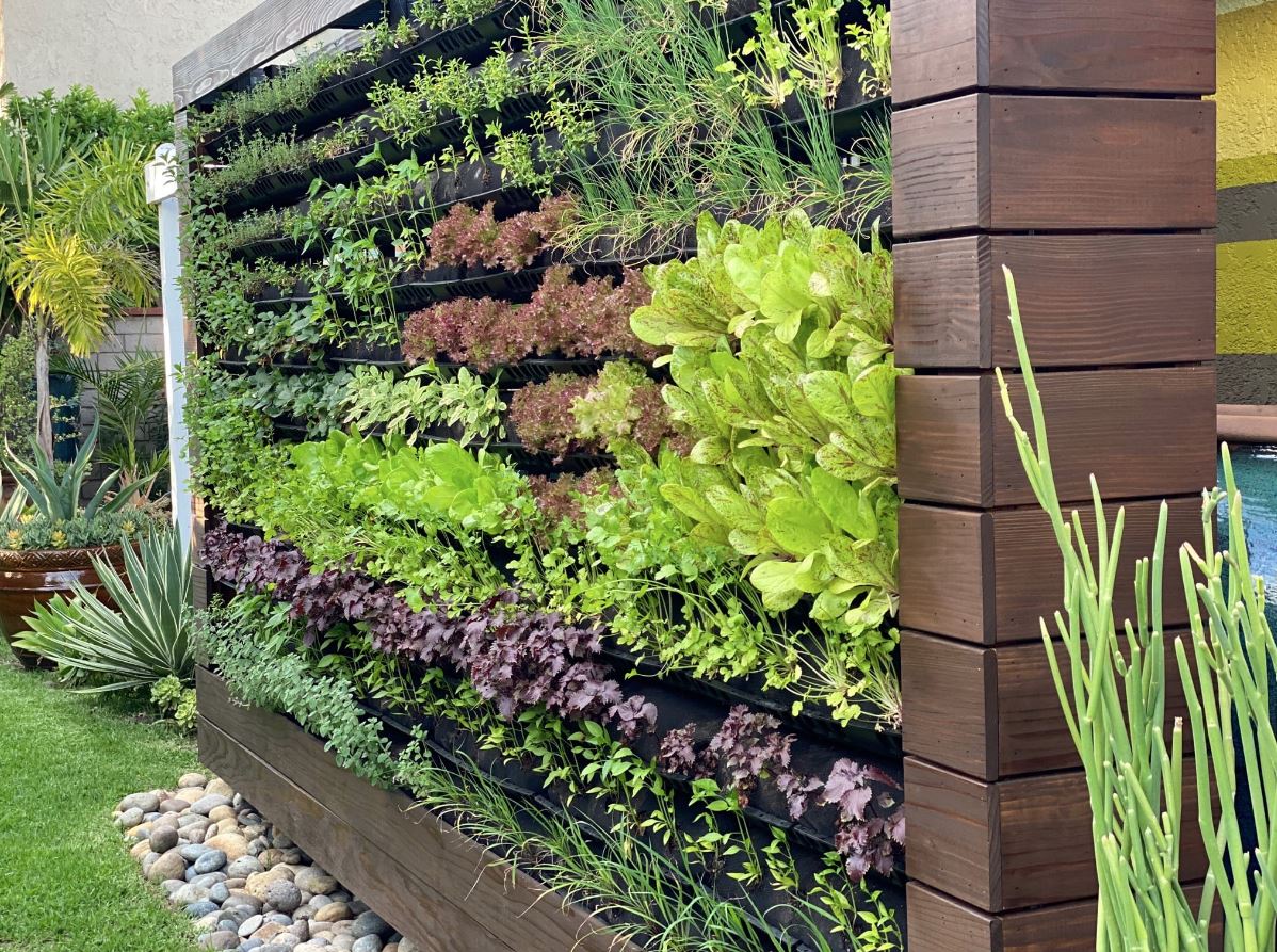 When Gardens Begin to Climb Toward the Sky