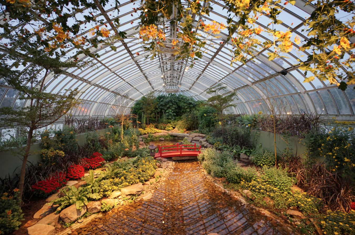 Botanical Gardens Keep the Memory of the Earth Alive