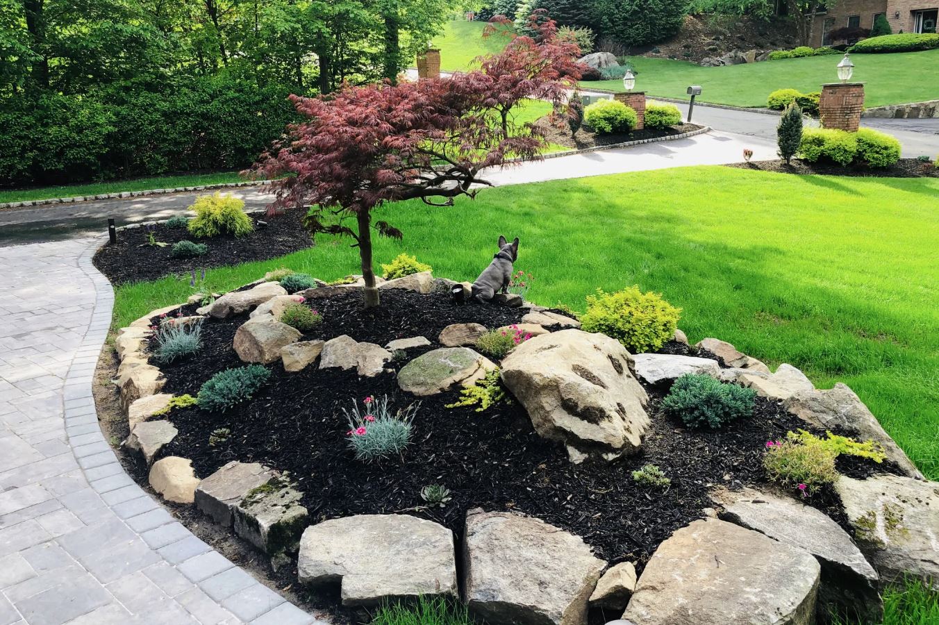 Stones That Remember the Shape of Wind