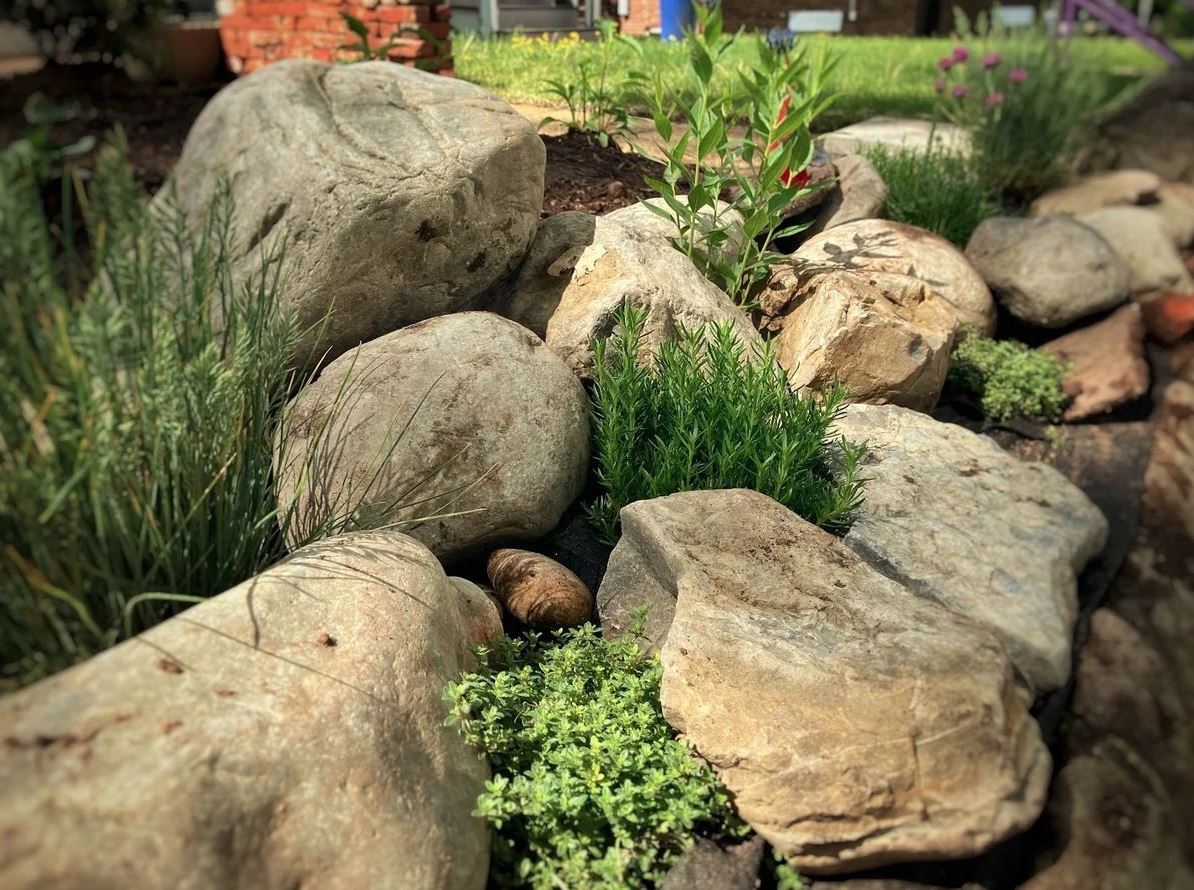 Transform Your Yard with a Low-Maintenance Rock Garden